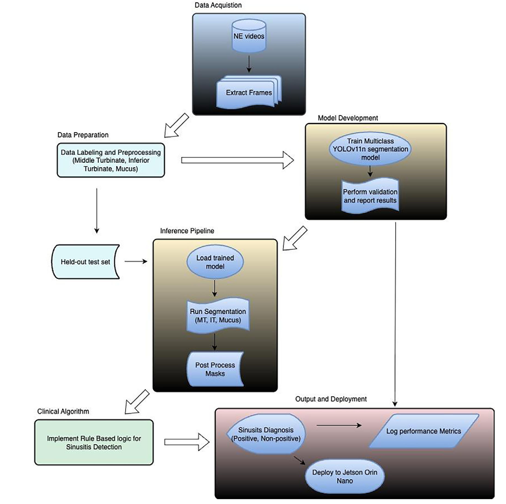 New Article Published: Machine Learning-Enhanced Clinical Decision Support for Diagnosing Sinusitis With Nasal Endoscopy